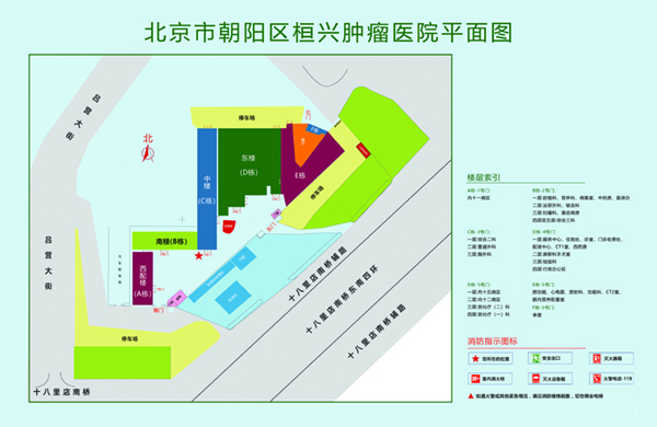 操逼操逼操大逼操逼操北京市朝阳区桓兴肿瘤医院平面图